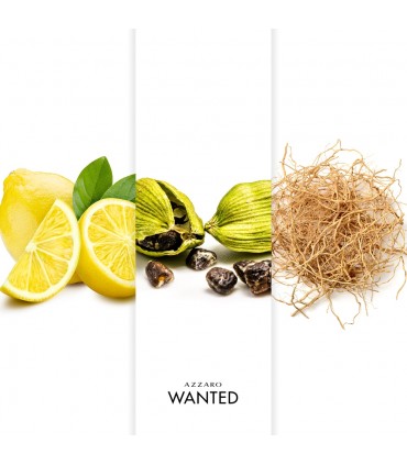 AZZARO - WANTED EDT VAPO 100 ml
